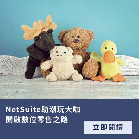 零售業 NetSuite