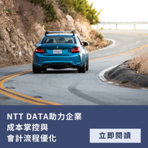 會計成本優化 NetSuite